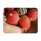 mandje van pompoenen magnet magneet (Horizontaal)