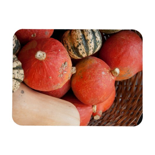 mandje van pompoenen magnet magneet (Horizontaal)