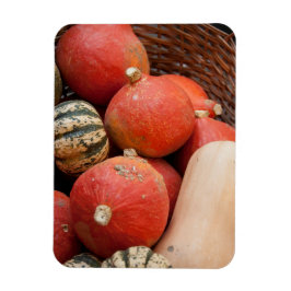 mandje van pompoenen magnet magneet