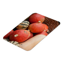 mandje van pompoenen magnet magneet