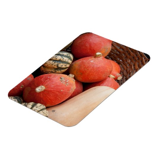 mandje van pompoenen magnet magneet (Linkerzijde)
