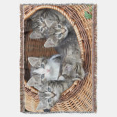 mandje vol Kittens Deken (Voorkant Verticaal)