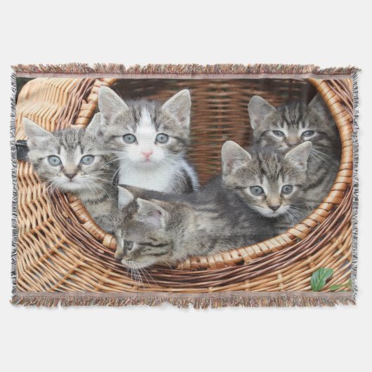 mandje vol Kittens Deken (Voorkant)