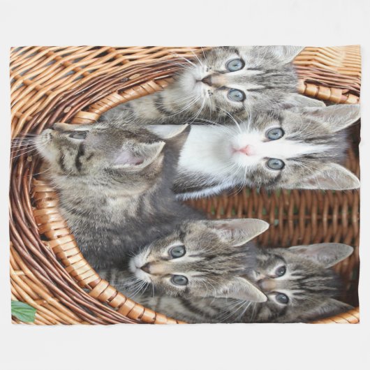 mandje vol Kittens Fleece Deken (Voorkant (Horizontaal))
