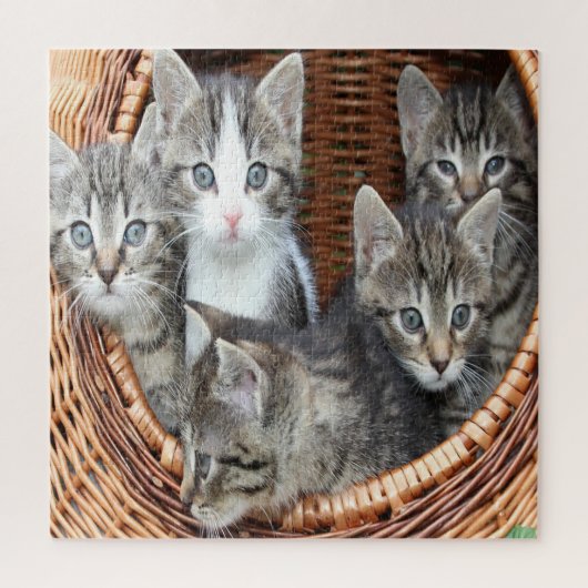 mandje vol Kittens Legpuzzel (Verticaal)