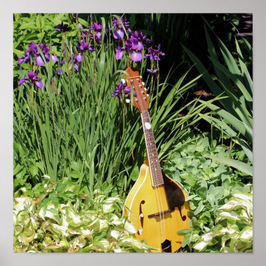 Mandolin en Iris Flower Garden Poster (Voorkant)