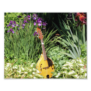 Mandolin en Iris Tuin 10x8 Bloem Foto Afdruk