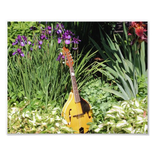 Mandolin en Iris Tuin 10x8 Bloem Foto Afdruk (Voorkant)