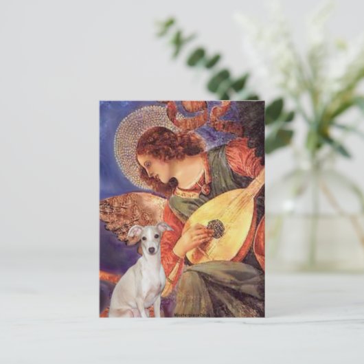 Mandolin Engel - - Italiaanse Greyhound 7 Briefkaart (Staand voorkant)