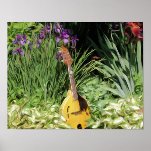 Mandolin Iris Flower Garden Photo Painting Poster (Voorkant)