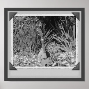 Mandolin Iris Garden Black en White Print