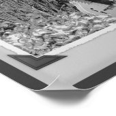 Mandolin Iris Garden Zwart-wit momentopname Poster (Hoek)