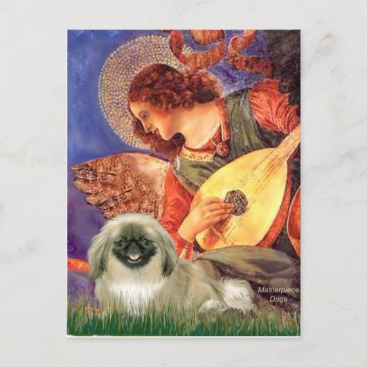 Mandoline Engel - Pekingees 1b Briefkaart (Voorkant)