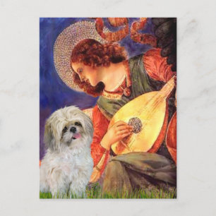 Mandoline Engel - Shih Tzu (P) Briefkaart