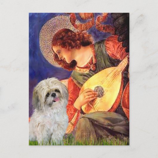 Mandoline Engel - Shih Tzu (P) Briefkaart (Voorkant)