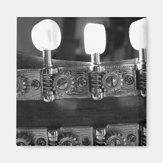 Mandoline tuning pegs magneet