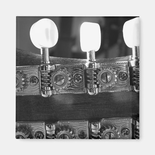 Mandoline tuning pegs magneet (Voorkant)