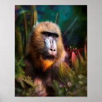 Mandril Baboon MASK IN HET OERWOUD