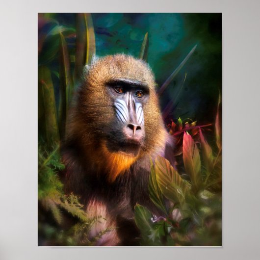 Mandril Baboon MASK IN HET OERWOUD Poster (Voorkant)