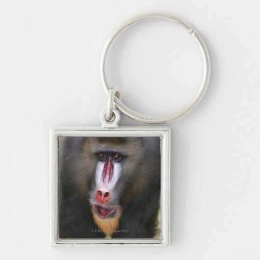 Mandril (Mandrillus sphinx) sluit af Sleutelhanger (Voorkant)
