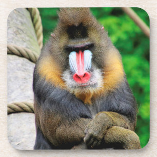 Mandrill 001 bier onderzetter