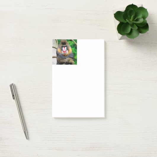 Mandrill 001 post-it® notes (Kantoor)
