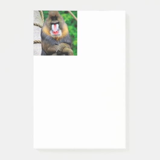 Mandrill 001 post-it® notes (Voorkant)