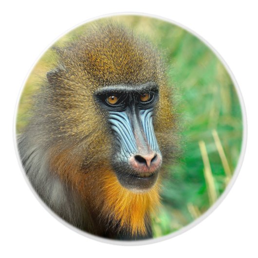 Mandrill 002 keramische knop (Voorkant)