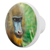 Mandrill 002 keramische knop (Rechts)