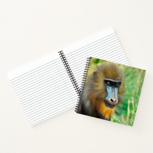 Mandrill 002 notitieboek (Binnen)