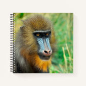Mandrill 002 notitieboek (Voorkant)