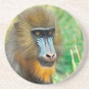 Mandrill 002 zandsteen onderzetter