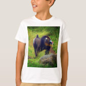 Mandrill #2 T-shirt (Voorkant)