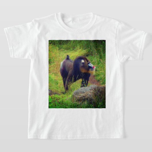 Mandrill #2 T-shirt (Laagn)