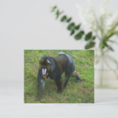 Mandrill #5 Briefkaart (Staand voorkant)