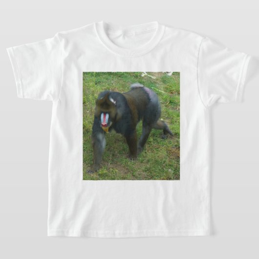 Mandrill #5 T-shirt (Laagn)