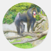Mandrill #7 Sticker (Voorkant)