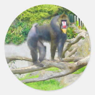 Mandrill #7 Sticker