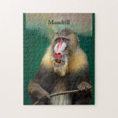 Mandrill, Afrikaanse aap Legpuzzel (Verticaal)