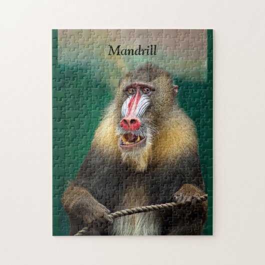 Mandrill, Afrikaanse aap Legpuzzel (Verticaal)