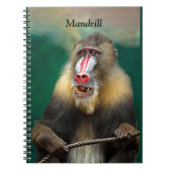 Mandrill, Afrikaanse aap Notitieboek (Voorkant)