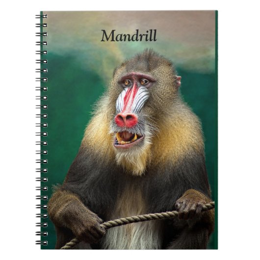 Mandrill, Afrikaanse aap Notitieboek (Voorkant)