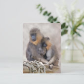 Mandrill and Young Briefkaart (Staand voorkant)