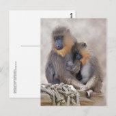 Mandrill and Young Briefkaart (Voorkant / Achterkant)