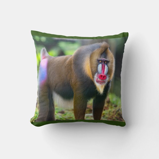 Mandrill Baboon Kussen (Mandrill known for their striking red, blue and purple facial markings.)