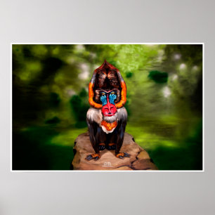 Mandrill Bodyschilderillusie Poster