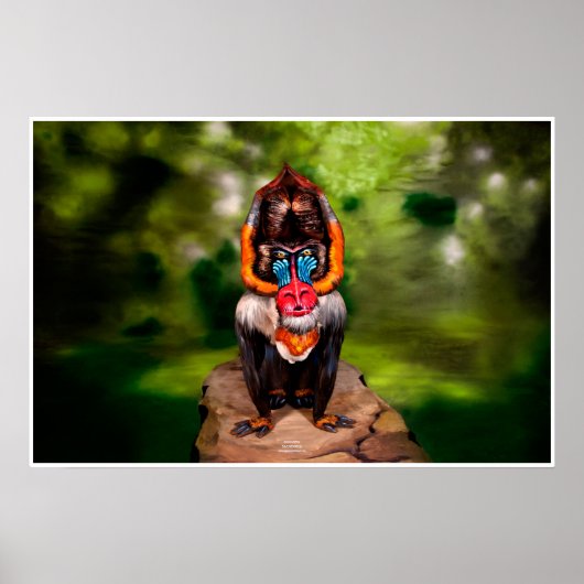 Mandrill Bodyschilderillusie Poster (Voorkant)