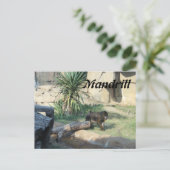 Mandrill Briefkaart (Staand voorkant)