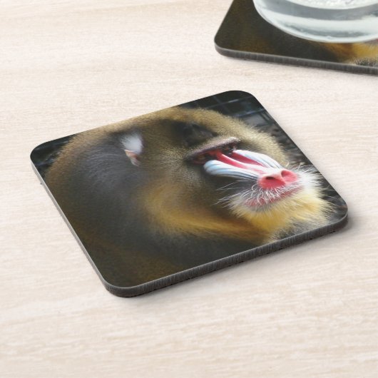 Mandrill Cork Onderzetters (Linkerzijde)