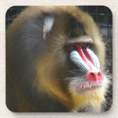 Mandrill Cork Onderzetters (Voorkant)